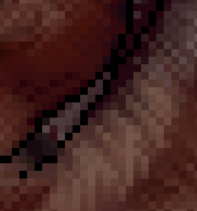 actuallypixel's tweet photo. dog's fur 10/10 https://t.co/6wdE5MEX93