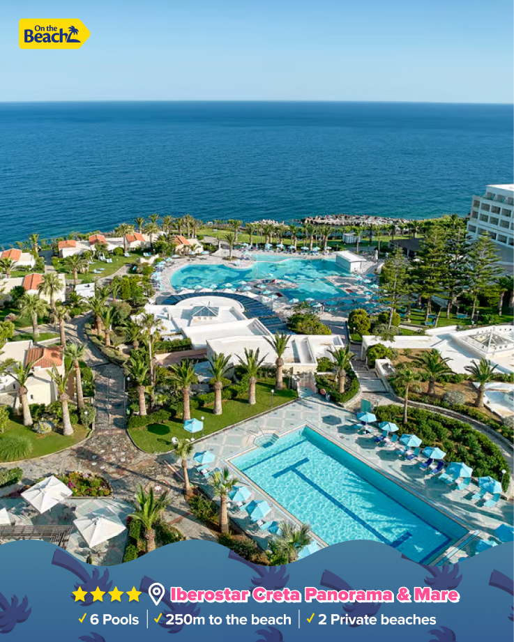 On the Beach tweet media