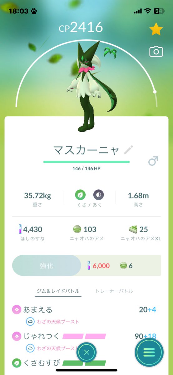 カイオーガの色違い欲しいけどレイドバトルに勝てない😭