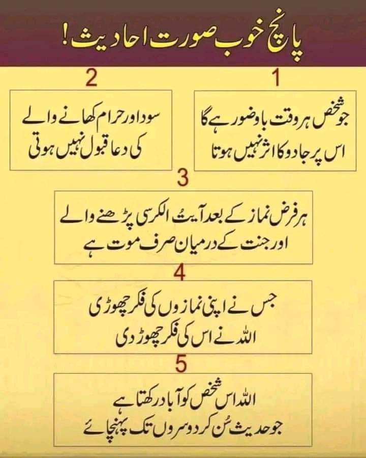 ArslanSule44349's tweet photo. Good afternoon friends. https://t.co/CnbFJdWXMR