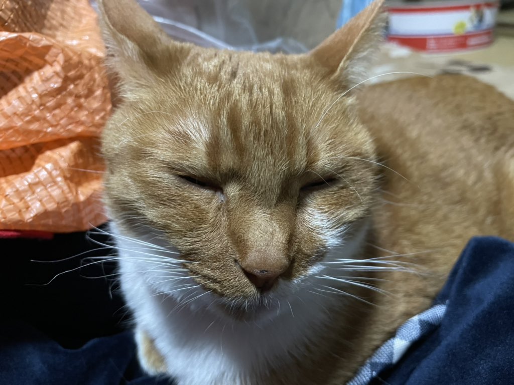 #これを見た人は秒でバレる嘘をつけ

全然眠くない