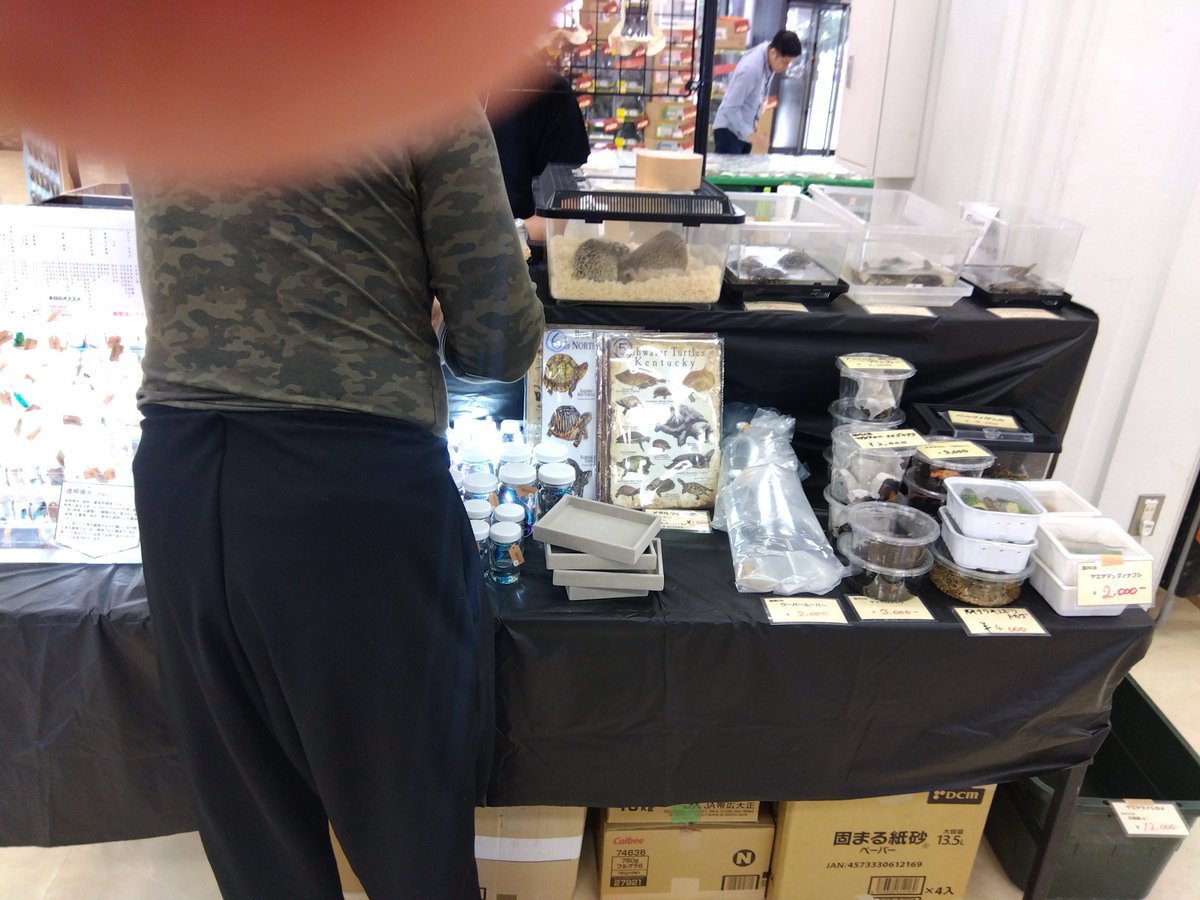 bronzegecko's tweet photo. 知的財産権の侵害確認。 https://t.co/qPIxP39eoq