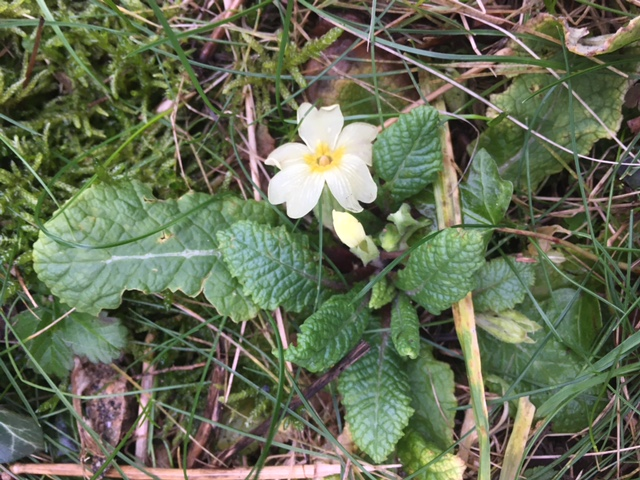 St Mary's Southwick tweet media