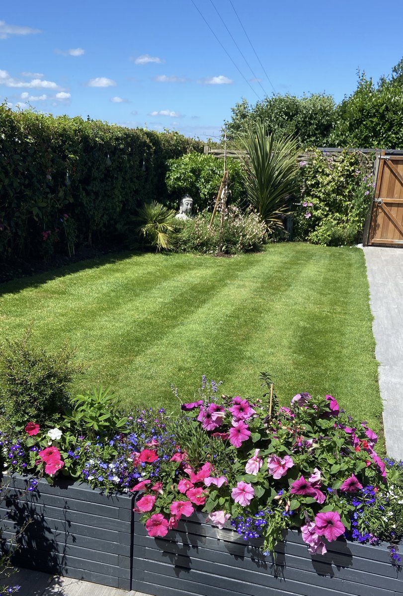 Lawn of the Week 🌸

Thank you to our GreenThumb Ashford customer for sharing your lawn with us. We love a lawn with a pop of colour 🌻🌼🪻

#LawnOfTheWeek #LawnCare