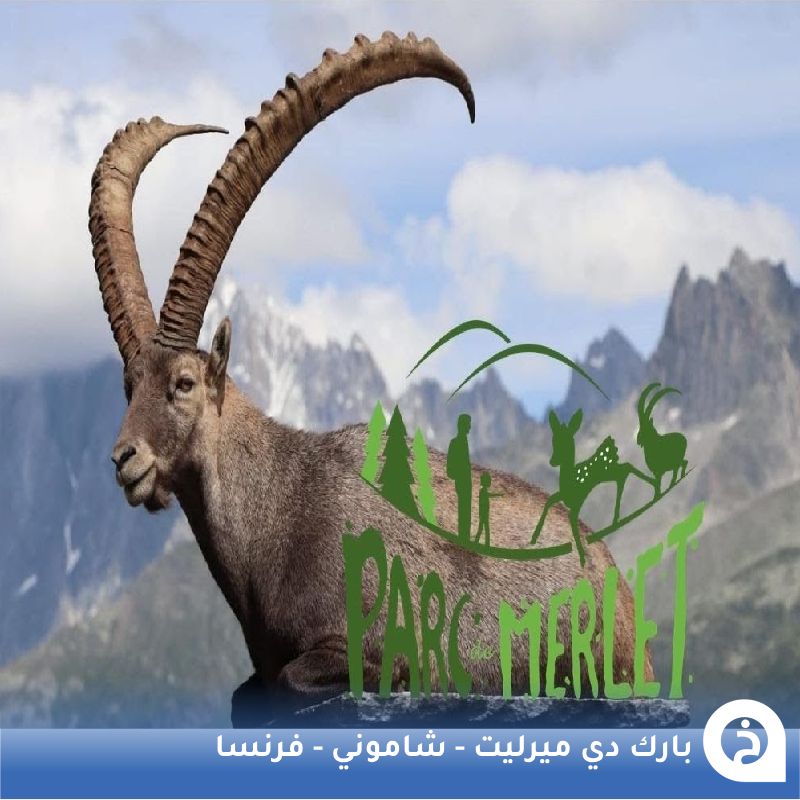 بارك دي ميرليت #فرنسا🇫🇷 

منطقة جبلية في ضواحي #شاموني على إرتفاع 1500م تضم حيوانات ومُروج خضراء وغابات وتُشاهد منها إطلالات بانورامية على جبل #مونت_بلانك🏔️🦌🌲📸😍↓
Parc de Merlet
📍goo.gl/maps/hWk48BjBH…

• إفتتاح المنطقة الموسمي في 1-5-2024 .
• مُضاف في خريطة فرنسا