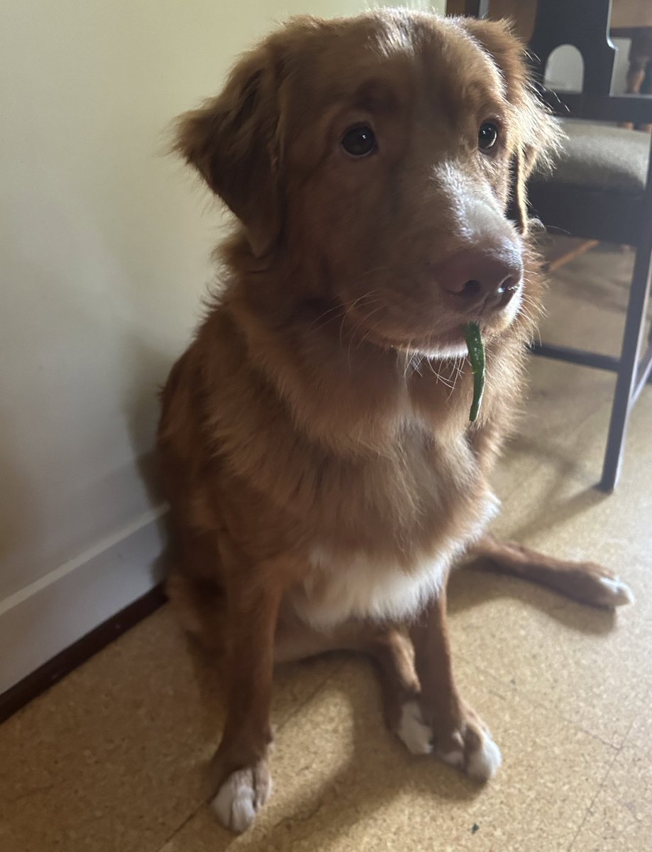 Bella Bushby (She/Her) tweet media