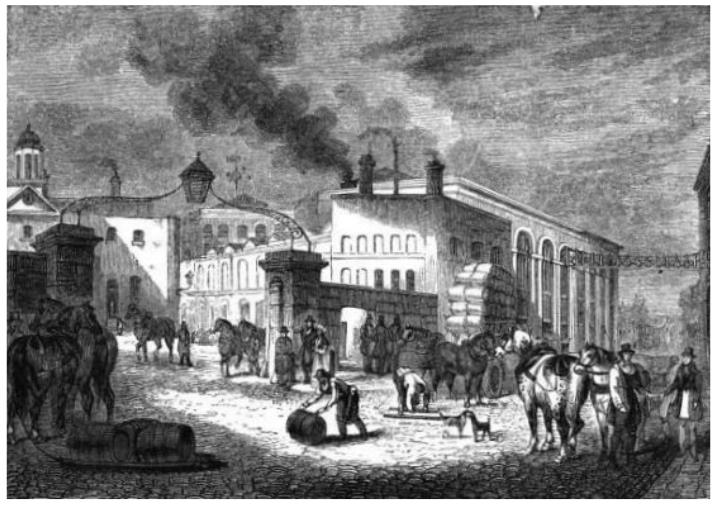 Edd Mather tweet media