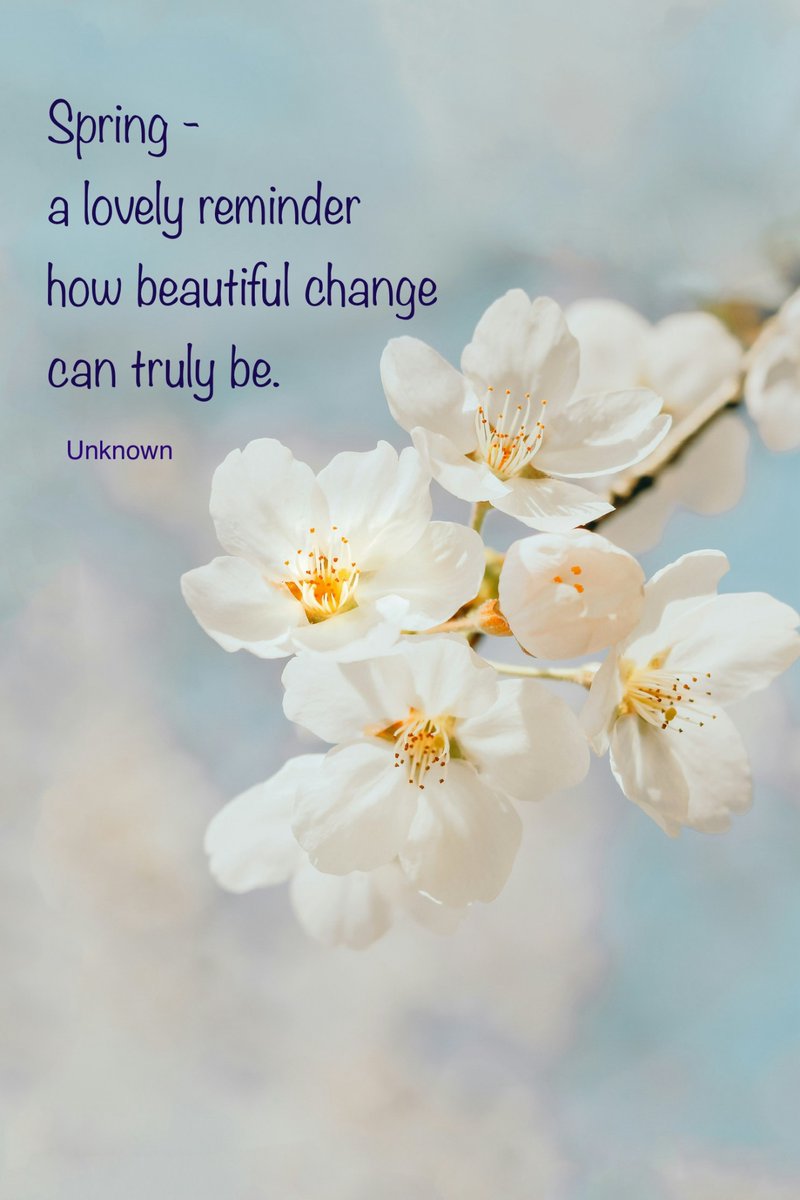 Spring - a lovely reminder how beautiful change can truly be #spring #quotes