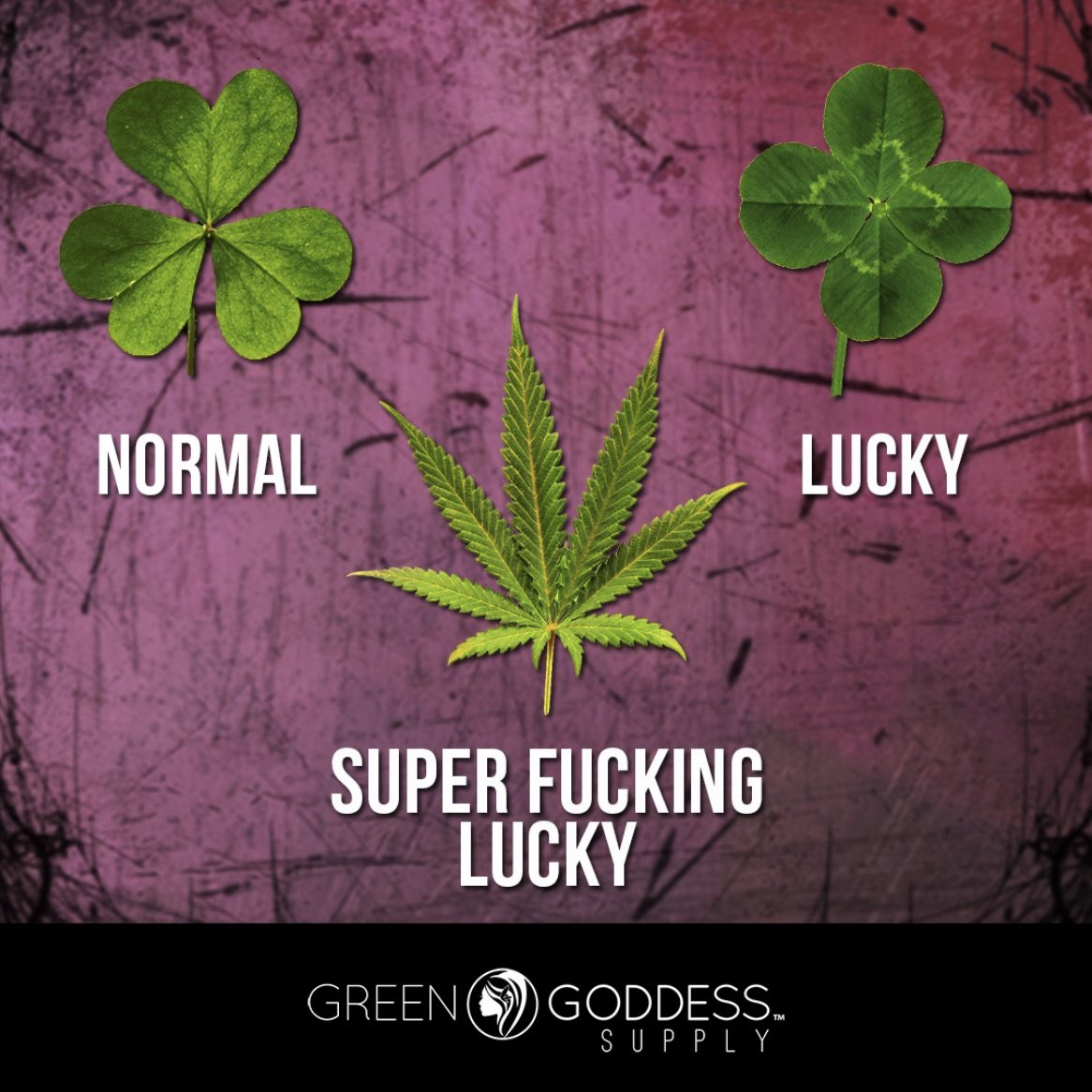 Luck O’ The Irish to ya!   Happy St Patrick’s Day.
 
#stpatricksday #stpattysday #stpattys #stpatty #saintpatricksday #happystpatricksday #happystpattysday #march17 #luckotheirish #luckoftheirish #irishstonerfam #greenbongwater #weedporn #stonerfam #iwillmarrymary #maryjane