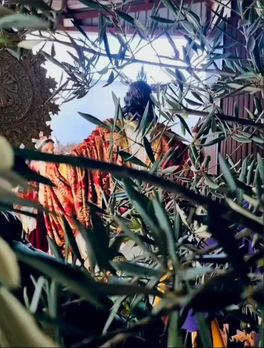 Tan solo una semana.

No entrar en telele...

#SSantaLinares24 #LaDesarmá24