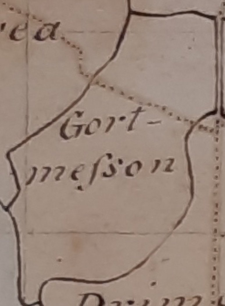 Strabane_names's tweet photo. On St Patrick's Day, a local place name connection: Gortmessan Gort Messáin, Messan's field. Messon or Meascan is said to have been Patrick's brewer. His name is a derivation of measc, to mix, muddle, or intoxicate. The same saint gives his name to Magheramason, in Tyrone. https://t.co/PSqiVoPnvn