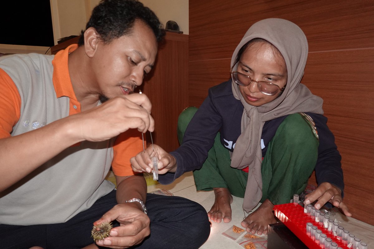 SELAMAT International Joint Laboratory tweet media