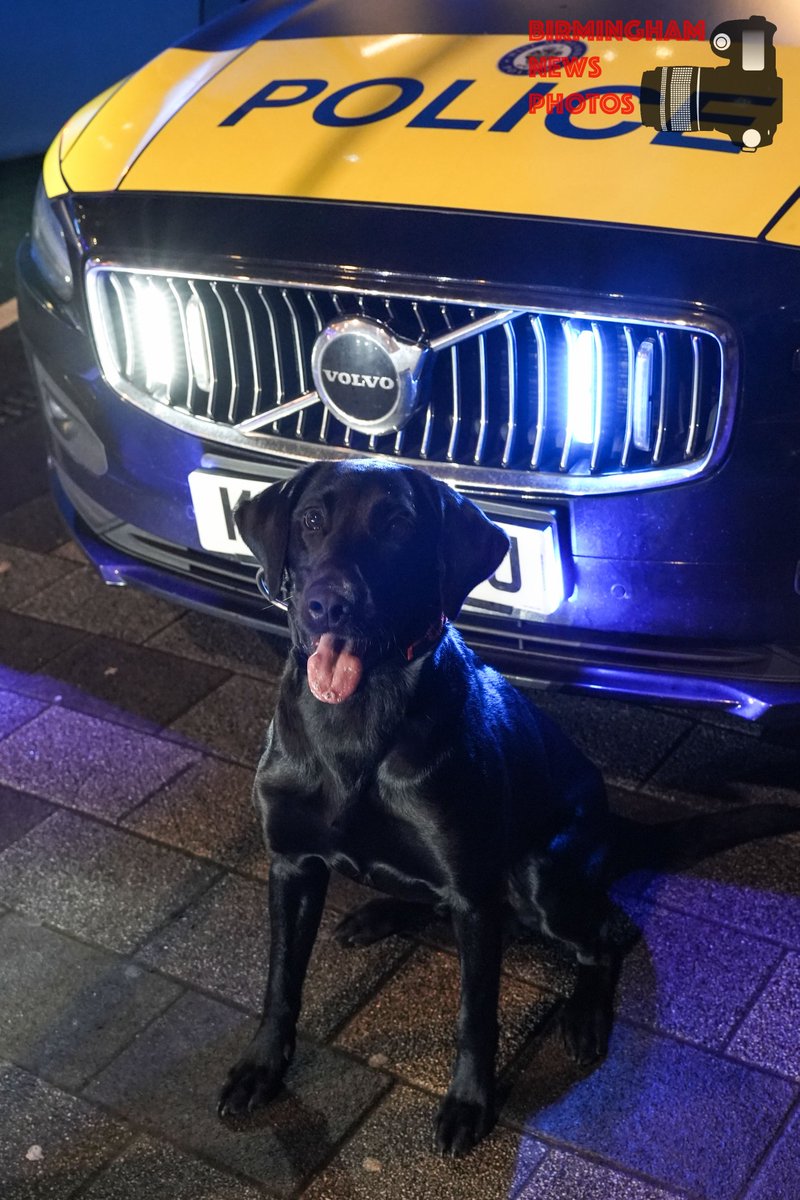 Last night I had the pleasure in meeting <a href="/WMPDogs/">WMP Dog Unit</a> Nate on #BroadStreet Proper poser he was, lapping up all the attention by passing revellers ❤️🐕🚔 He's Sniffer, #K9 #PoliceDog He's also a cutie 🥰🥰 Riot was in the car saying hello in his own shouty way😉 #Woof #DogsOfTwitter