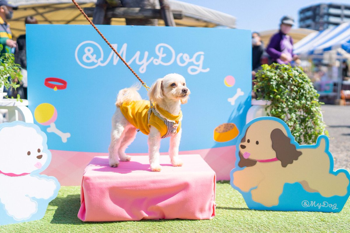 mojiko_info's tweet photo. &amp; My Dog ドッグマルシェ

&amp; My Dog は愛犬と楽しく幸せな時間を過ごすためのドッグイベントです。愛犬と忘れられない大切な思い出を。

日程：3月23日(土)・3月24日(日)
時間：10:30 – 16:00　※雨天決行荒天中止
会場：レトロ中央広場・親水広場

https://t.co/FKVEpSw7PW https://t.co/qAUrJPknHS