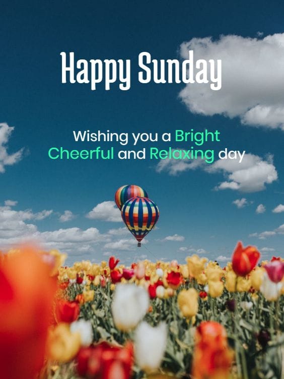 bajpai om tweet media