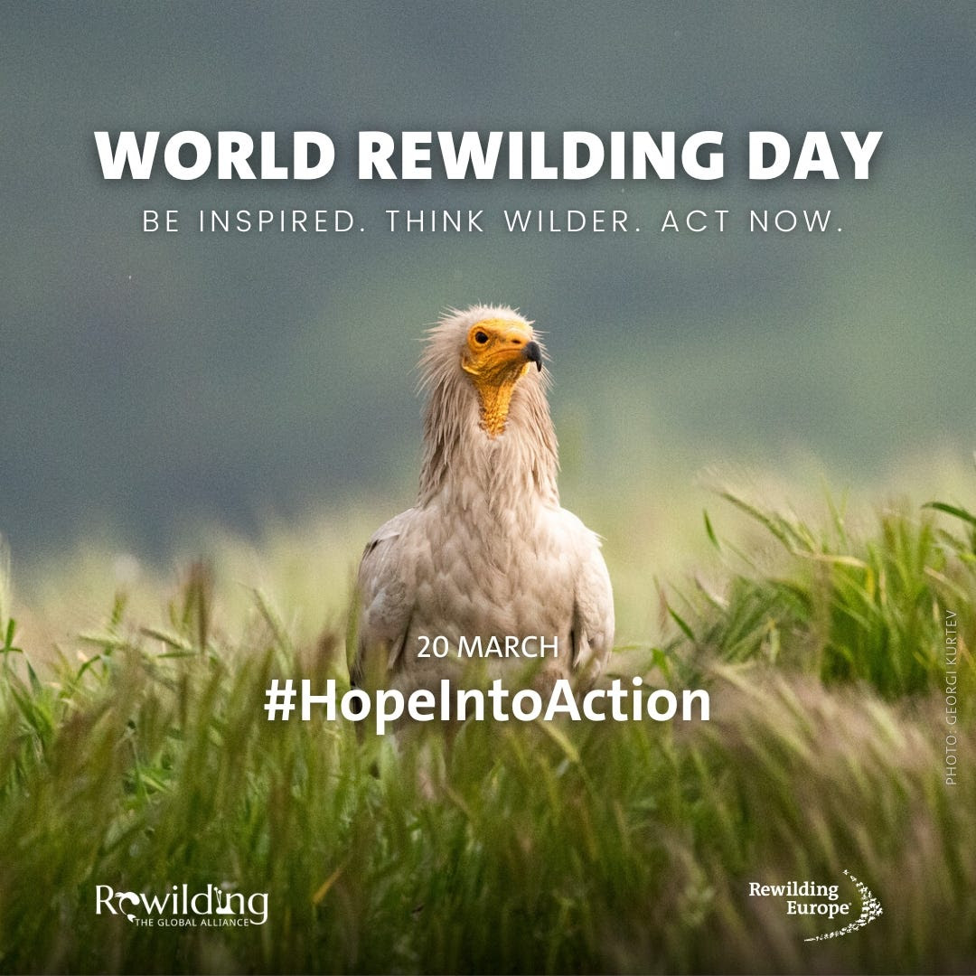 📎 Next Wednesday, March 20th, is World Rewilding Day
#HopeIntoAction 🌍🐾🪶
rewildingeurope.com/world-rewildin… 
#TiredEarth ⌛️