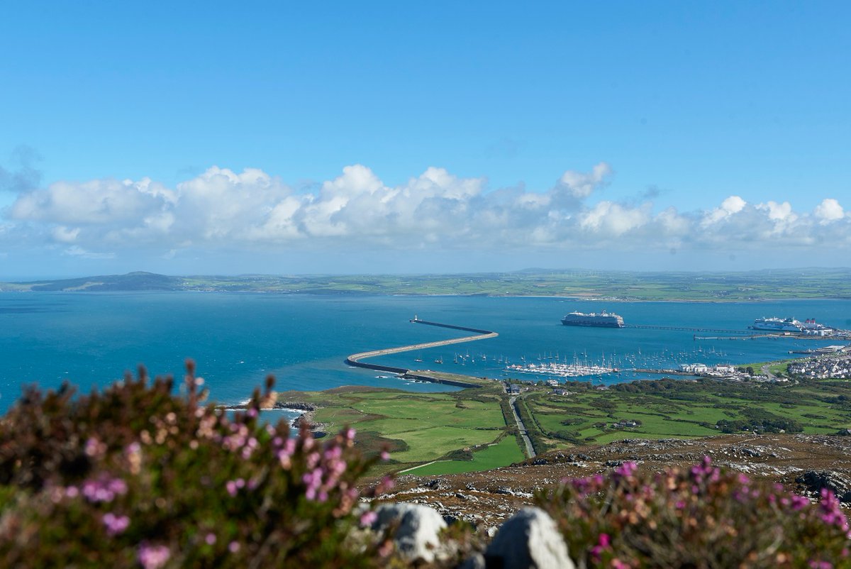 Wishing our Celtic #EventProfs over in Ireland a happy #StPatricksDay2024 have a wonderful day from #MeetInWales ☘️.