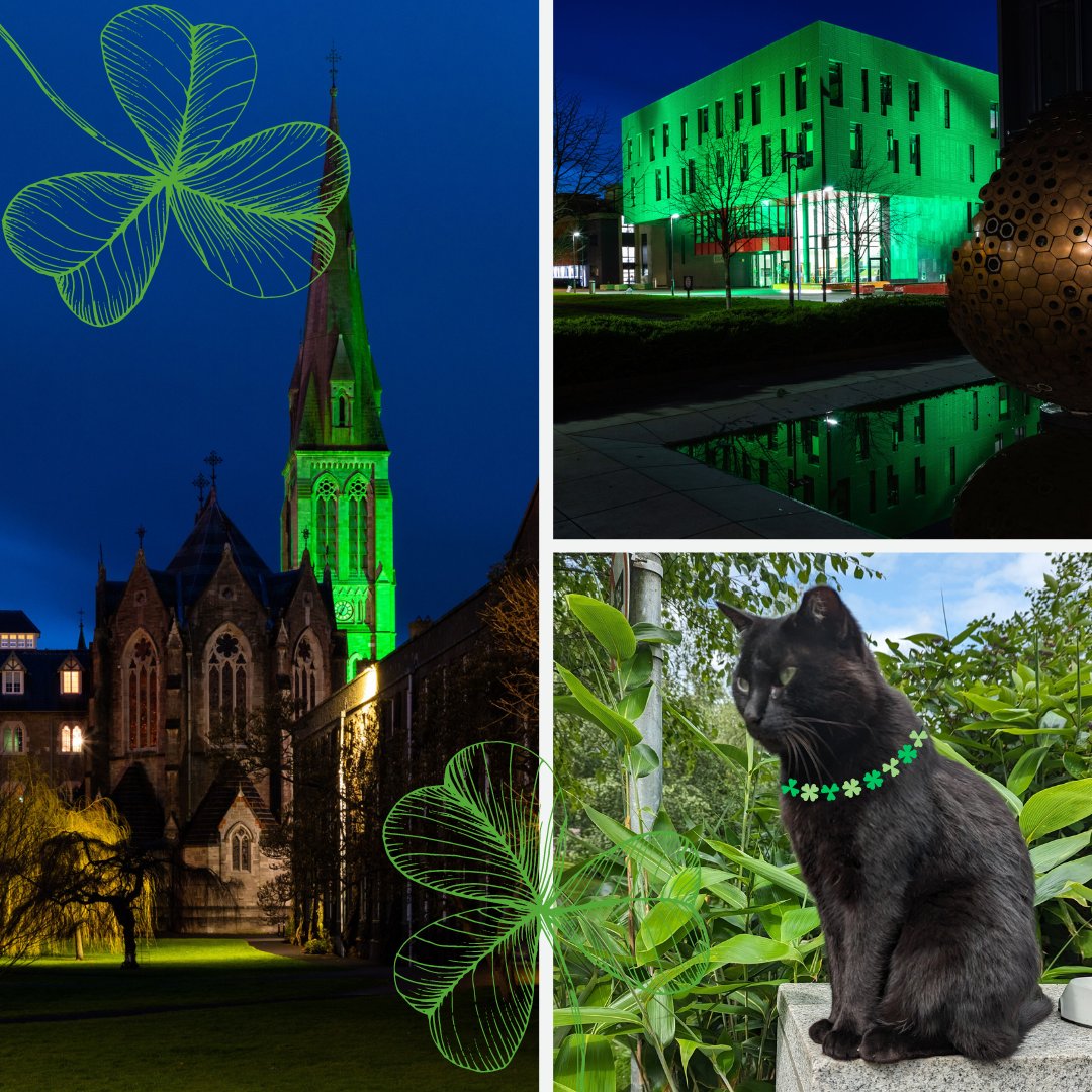 Lá Fhéile Pádraig sona daoibh go léir! 

Wishing everyone a Happy St Patrick's Day⁠ 💚 ☘️

#StPatrick #StPatricksDay #MaynoothUni #StPatricksCollege