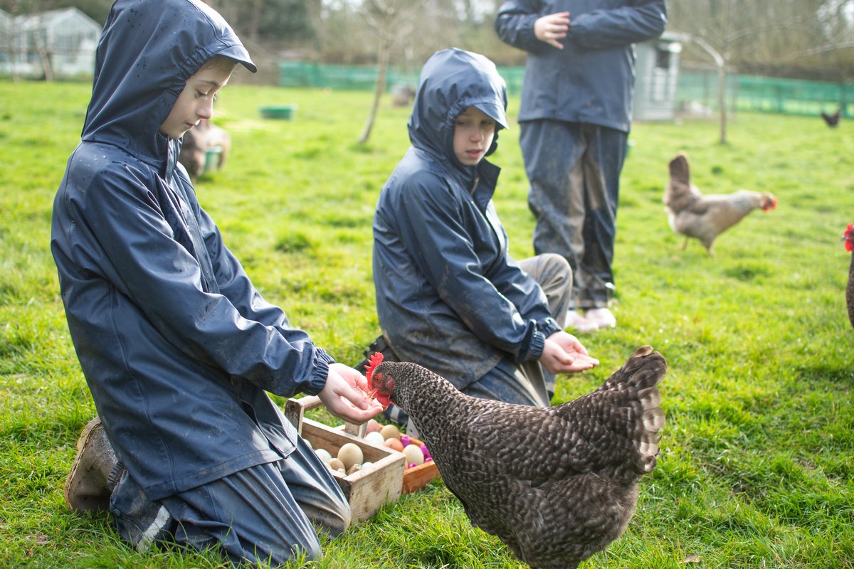 Farms for City Children tweet media