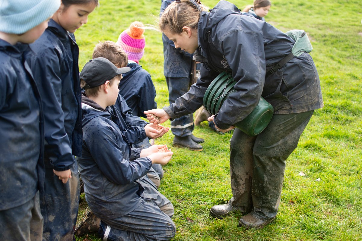 Farms for City Children tweet media