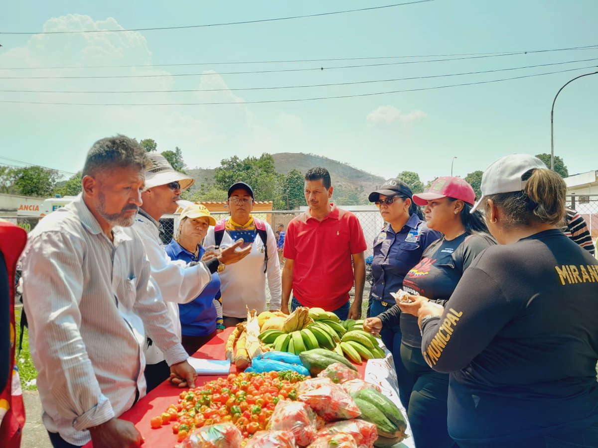 Somos Venezuela | MSVEnLinea tweet media