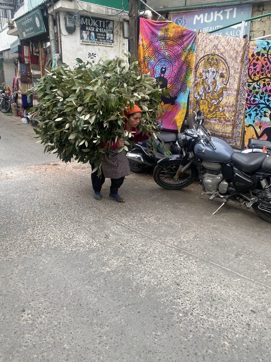sportstoursplus's tweet photo. India, you were amazing. Slightly bonkers in places, but what an utterly memorable tour. We’re back there in Jan/Feb 25

https://t.co/mSsu387D2w https://t.co/SEQqTtaTpD