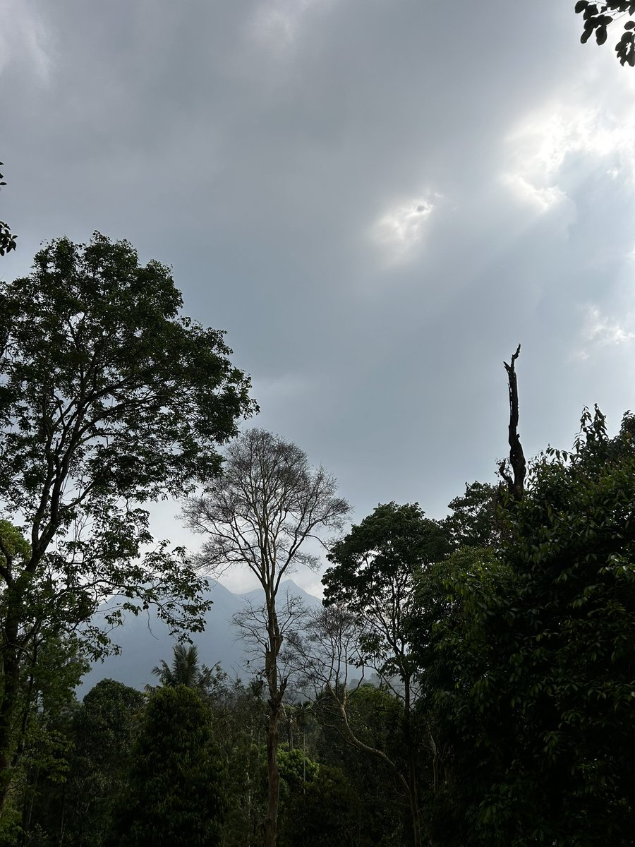 Bengaluru has signalled on our priorities #NetZero