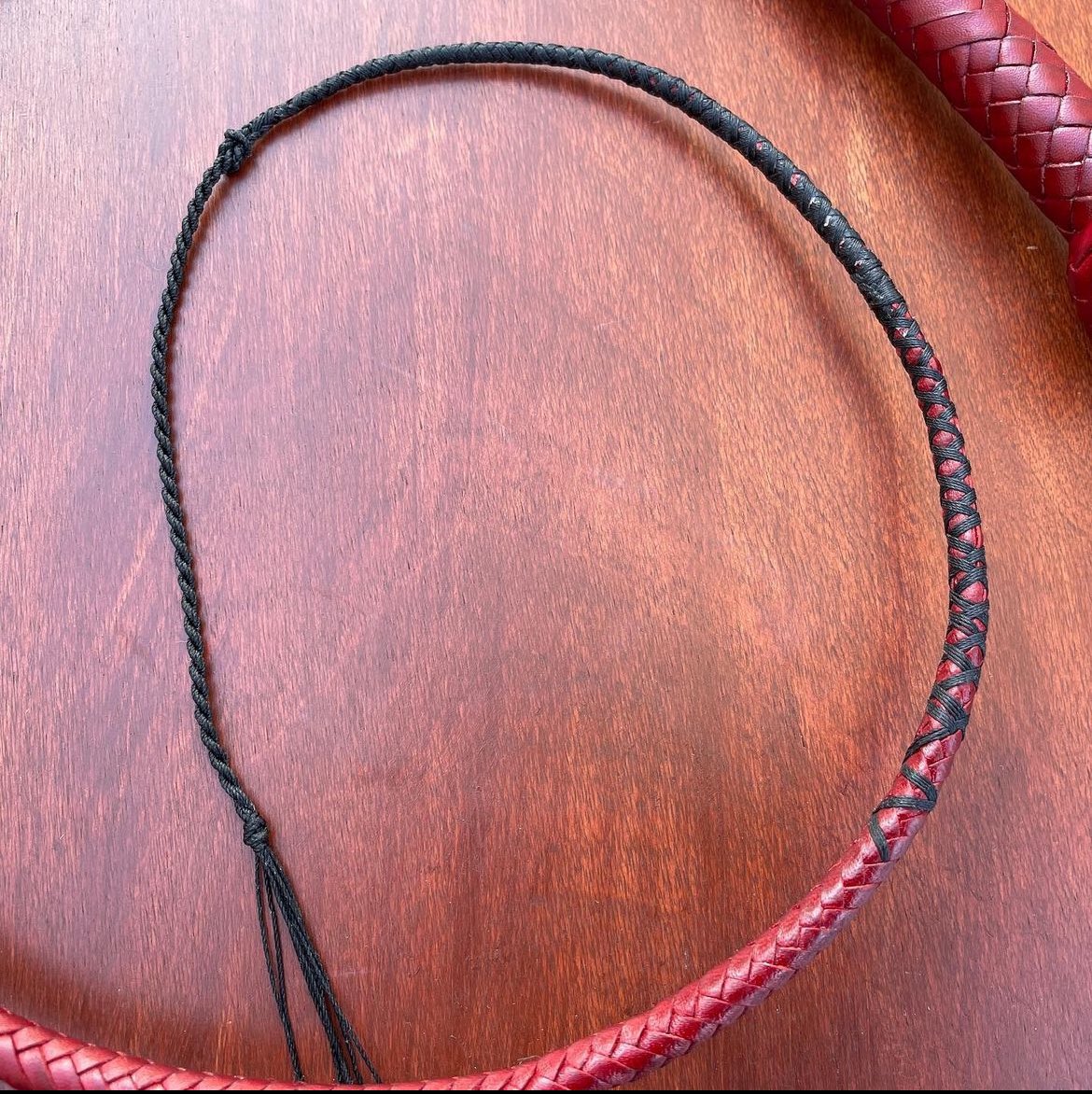 Gracias a todos los asistentes a la Jam de Látigos
Lo pasamos genial y todos aprendimos, yo el primero

#latigossiempreesbien