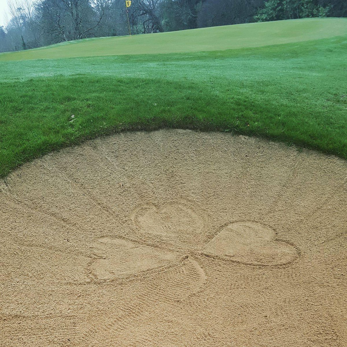 Happy St Patricks day.