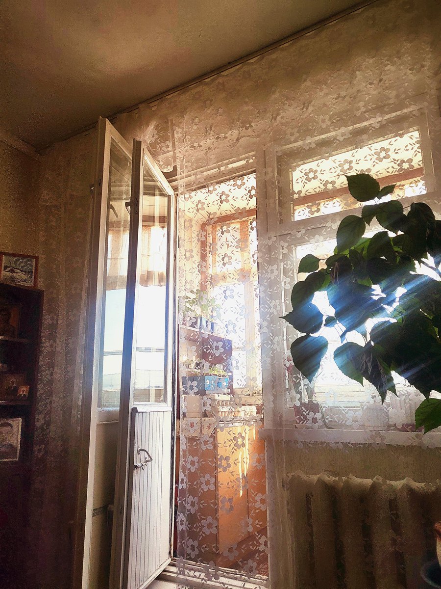 🌷𝖄𝖊𝖙𝖍𝖊𝖗𝖜𝖔𝖗𝖑𝖉 𝖓𝖊𝖘𝖗❀ tweet media