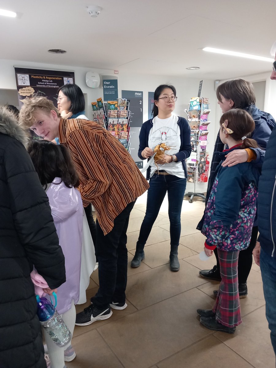 AliciaAHidalgo's tweet photo. Inspiring children, teenagers & grown-ups about the wonders of the brain for international Brain Awareness Week with Birmingham Centre for Neurogenetics and CHBH friends @daniel_j_fulton
@stephanedebrito
#UoBBAW #UoB #BAW2024 https://t.co/XGNk4gq3AC