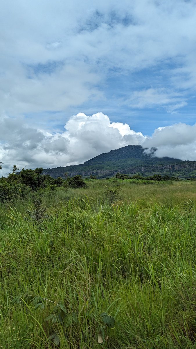 Hello from #Kindia 

I'm enjoying Samaya Lake boat riding🇬🇳

Voyager au fil des eaux guinéennes, de #Walia à #Kaporo il y a beaucoup de choses à découvrir, une communauté accueillante et chaleureuse prête de recevoir et partager leurs savoir-faire.

#lœilcurieux #miranasstourisme