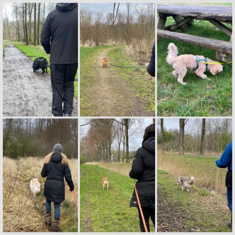 instagram.com/p/C4ndpd5oqdz/…