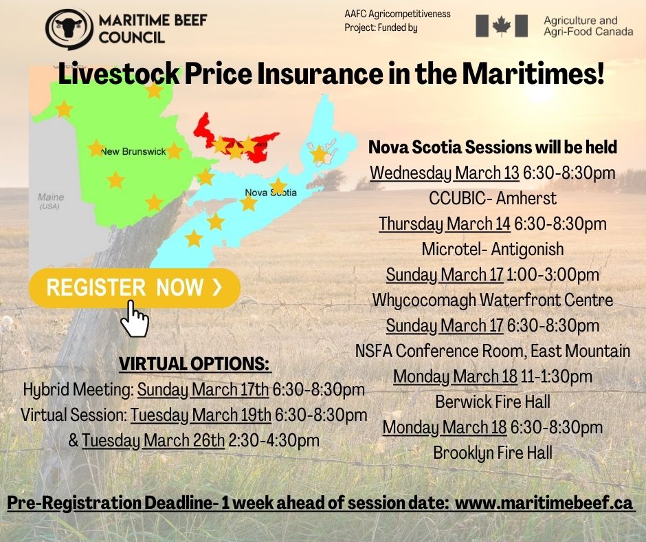 Nova Scotia Cattle Producers (@nscattle) on Twitter photo REMINDER: The Maritime Beef Council is hosting Livestock Price Insurance - Eastern Version information sessions, occurring Mar. 11-27.
Preregister at maritimebeef.ca/events/
Contact Amy Higgins at (902) 957-2606 or projects@agricommodity.ca with questions or for more information! REMINDER: The Maritime Beef Council is hosting Livestock Price Insurance - Eastern Version information sessions, occurring Mar. 11-27.
Preregister at maritimebeef.ca/events/
Contact Amy Higgins at (902) 957-2606 or projects@agricommodity.ca with questions or for more information!