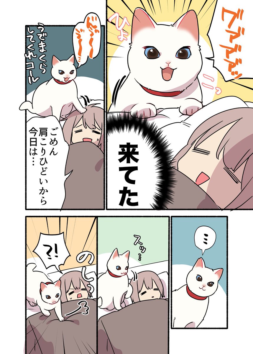 夜中に猫を起こすのが怖い話😱
(2/2)
 #漫画が読めるハッシュタグ
 #愛されたがりの白猫ミコさん 