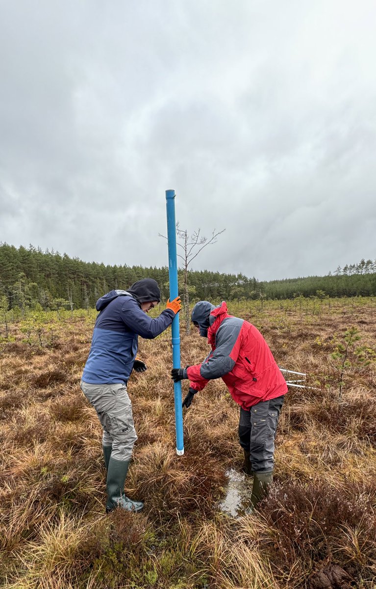 MIRECLIM project tweet media