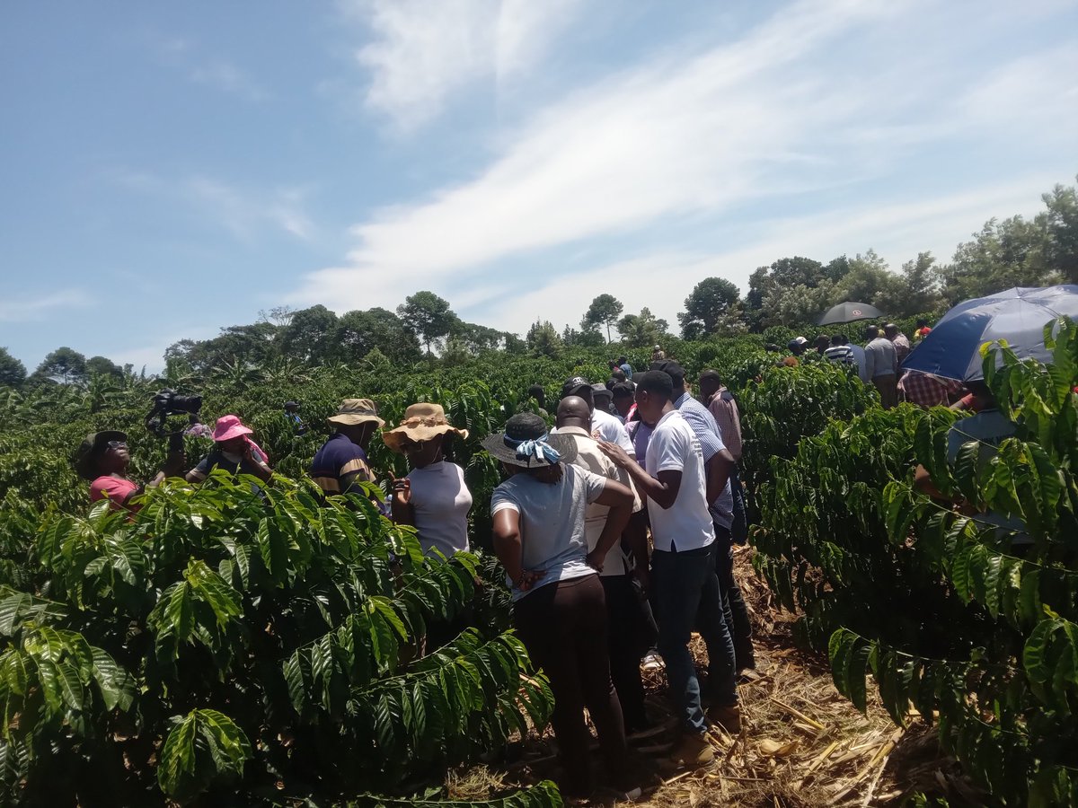 Thread: Appreciation Message 
On behalf of National Coffee Forum, Heritage  Kanaani Farms &amp; partners, I would like to thank everyone who turned up for Saturday's Coffee farm tour. You made it a success!  Special thanks to <a href="/CoffeeUganda/">MAAIF_Coffee Production & Development Dept</a>, <a href="/NAFORRI_UG/">NARO-NaFORRI</a> for the great support.