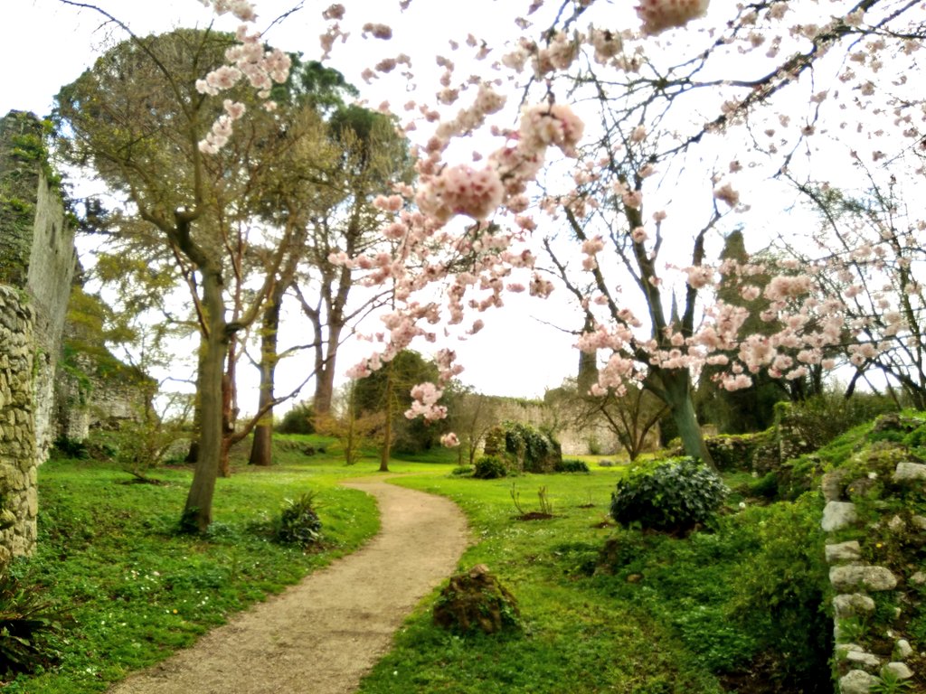 #DesiderioDiCoseLeggere a #SalaLettura @SalaLettura @Alberto63Al 
Giardini di Ninfa