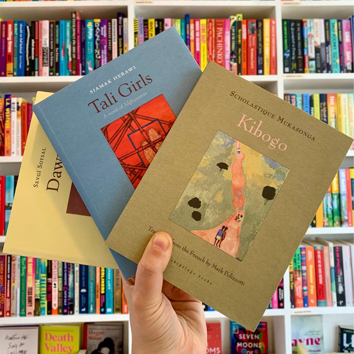 Today we wanted to spotlight the incredible not-for-profit press @archipelagobks. We are absolutely obsessed with the gorgeous cover designs, each like a small and magical portal transporting you into the world of the book before you've even opened the first page.