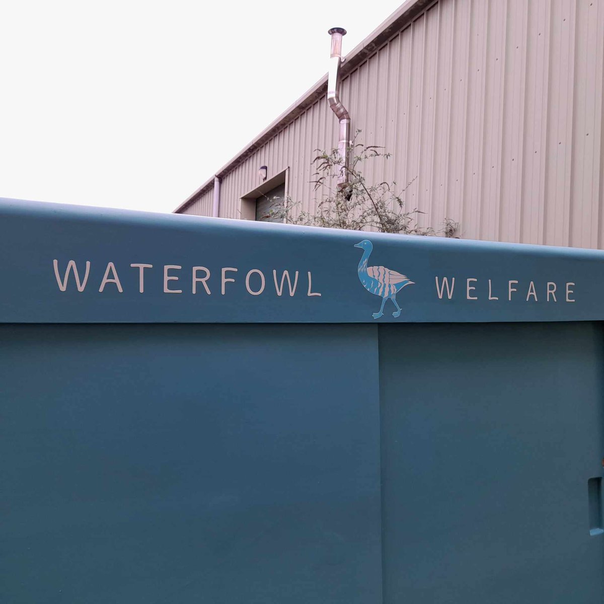 HBoatHeather's tweet photo. 🦢🦆 The waterfowl rescue truck, presently situated by the #riverside parks in Hoveton has had a makeover with attractive graphics made by #UniqueSigns of Norwich.
Resembling a big tattoo, the mirrored save our mute swans artwork is reproduced on the starboard side... https://t.co/WBN4mkZqAw