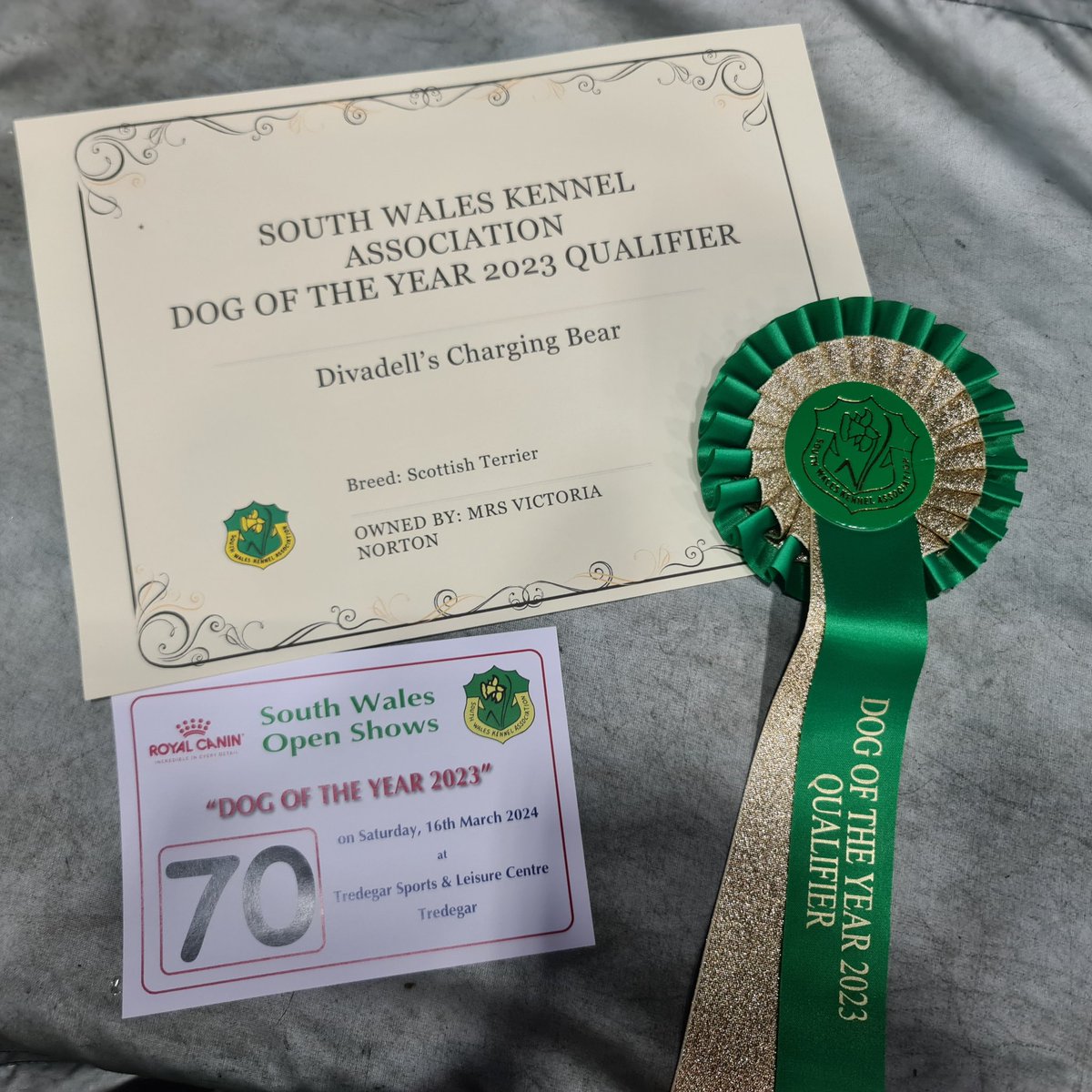 Divadell's Charging Bear at South Wales Dog Of The Year