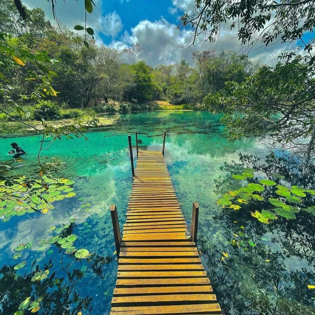 discoverchapada's tweet photo. Bem Vindo ao Oásis  da Chapada Diamantina, conheça  nosso Day Use.  #chapadadiamantina  #Turismo   #nature   #photography  #promo #mtur  #lonely https://t.co/LaimkiDuZp