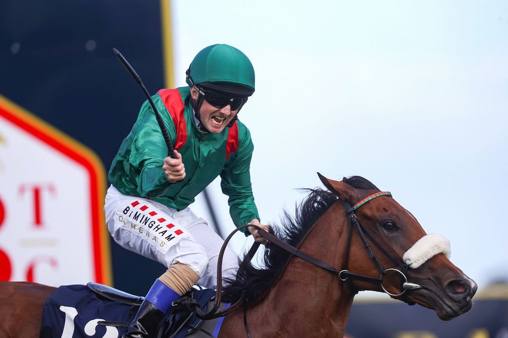 𝐇𝐚𝐩𝐩𝐲 𝐒𝐭 𝐏𝐚𝐭𝐫𝐢𝐜𝐤’𝐬 𝐃𝐚𝐲 ☘️ That can only mean one thing… the flat is almost back at Leopardstown! Are you as excited as @chrishayes24 is? 💫
