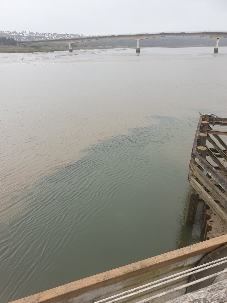 robtibbles's tweet photo. The river Yeo joining the Taw estuary at Barnstaple didn't look too healthy and dodgy surface foam down stream on the outgoing tide. Not normal How do I report this? @sascampaigns @EnvAgency @SelaineSaxby @west_devon_info @DaveThroup @CarveMag @ndgazette @NDevonBiosphere https://t.co/GapSTTk6yO