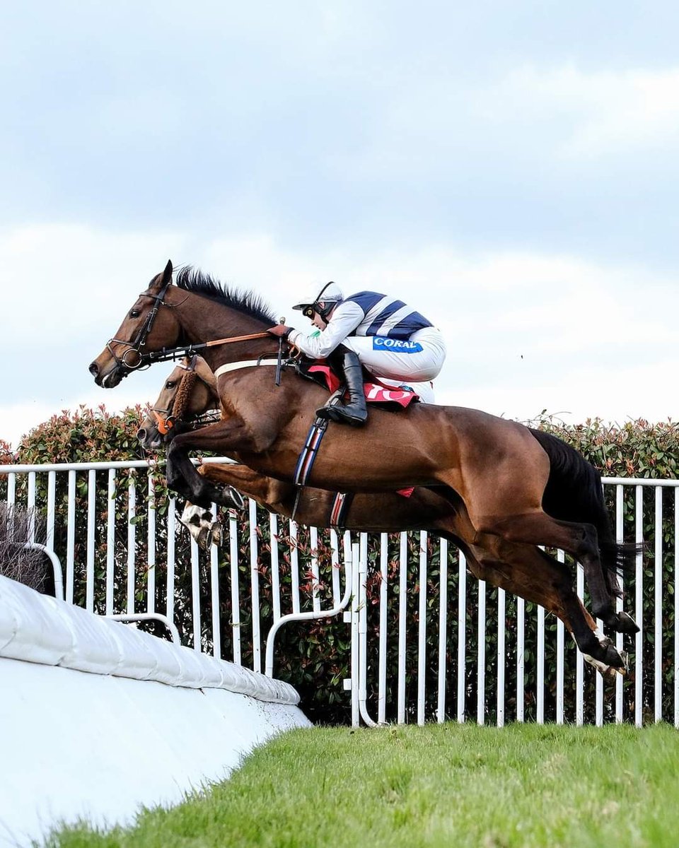 danfitz85's tweet photo. Brilliant shot of Rose Of Arcadia winning in @Sandownpark https://t.co/FDA6aHLrzw