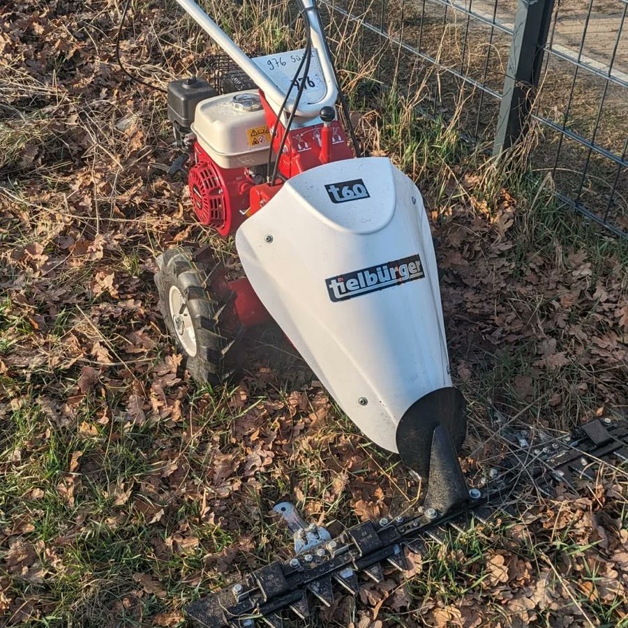 🧹🌾 Pflegeeinsatz auf der Binnendüne in #Karlshorst @INiKh_ & @NABU_Berlin haben wieder einen Aktion rund um die Binnendüne organisiert. Robinien entfernen, Laub vom Gelände schaffen, Graffiti entfernen, Müll sammeln - viel zu tun. Dank vieler Helfer*innen wurde viel geschafft.