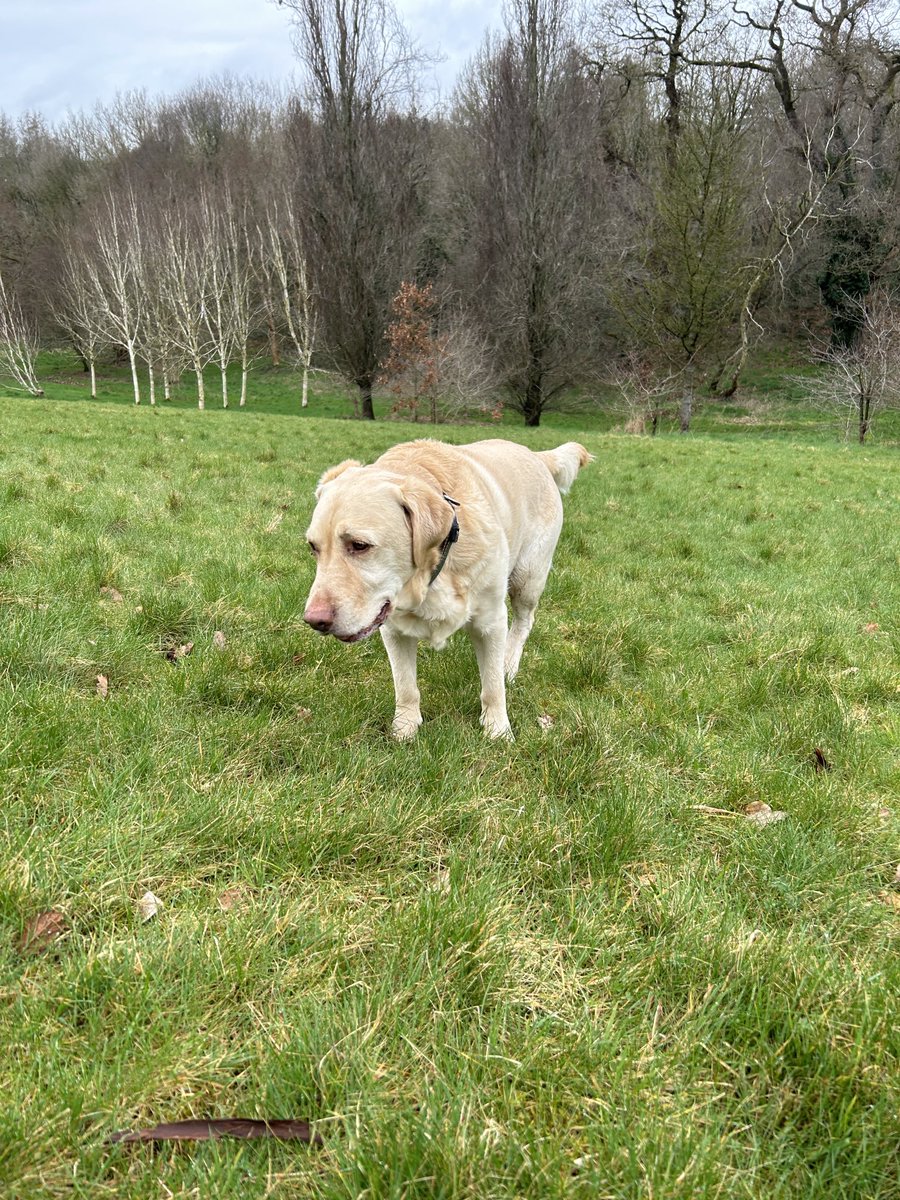 AsonicA radio tweet media