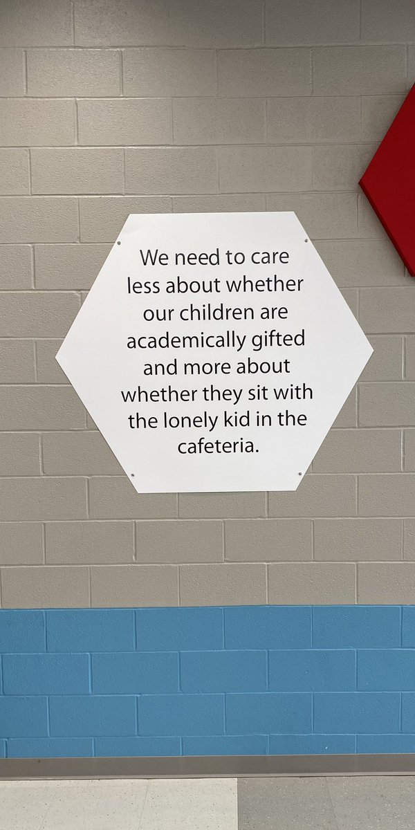 Saw this sign at my kid’s school cafeteria. An excellent message. Achievement without kindness, empathy and humility is a hollow outcome.