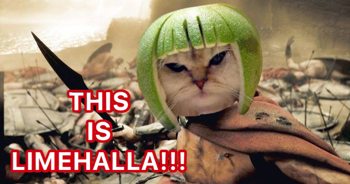 kinglimecat's tweet photo. #LIMECAT is ready to lead all #LIMERS to #LIMEHALLA!
And he will do whatever it takes to get there!
$LIME #MemeCoinSeason $SOL https://t.co/IAaG6lwrxA
