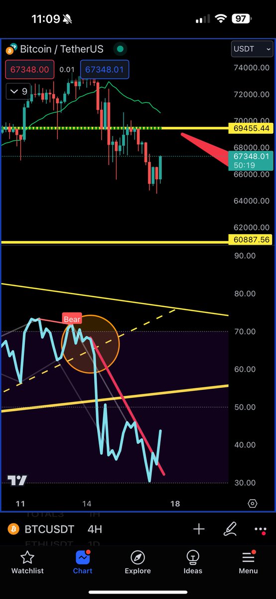 The Trading Parrot tweet media
